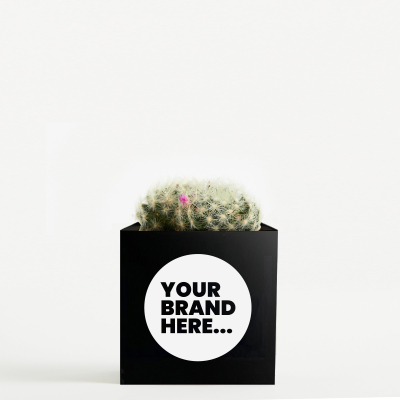 CACTUS in Black Aluminium Metal Pot Engraved