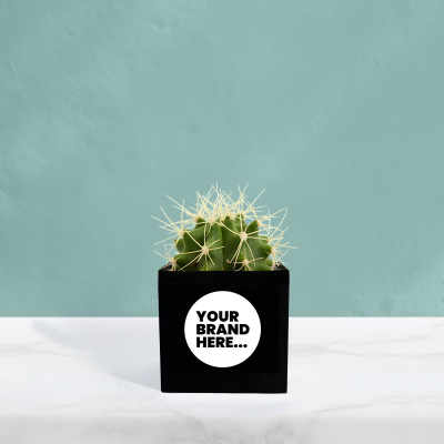 CACTUS in Black Aluminium Metal Pot Printed