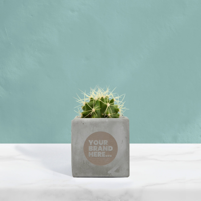 CACTUS in Grey Concrete Pot Engraved