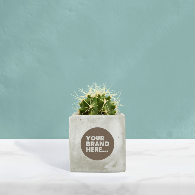 CACTUS in Marble Concrete Pot Engraved