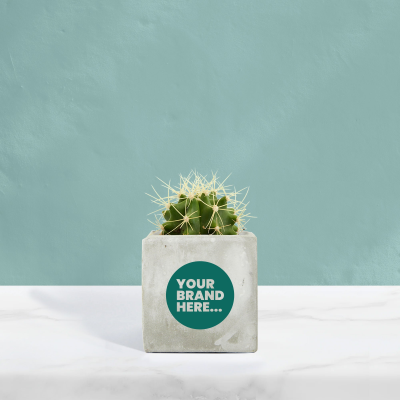 CACTUS in Marble Concrete Pot Printed