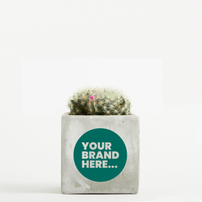 CACTUS in Marble Concrete Pot Printed