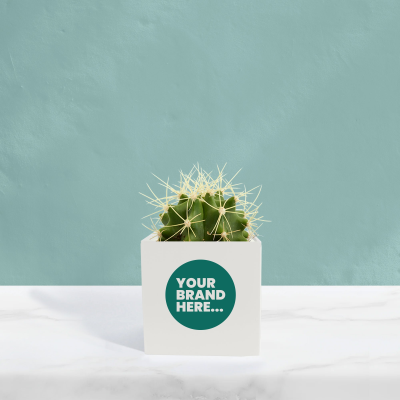 CACTUS in White Aluminium Metal Pot Printed