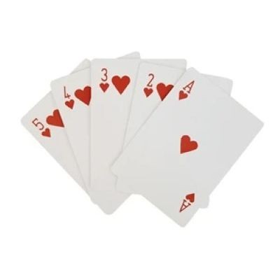 STANDARD PLAYING CARD in Case
