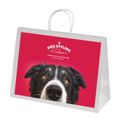 BAGS - ASHDOWN XL PAPER GIFT BAG with Twisted Handles - White - 200Gsm