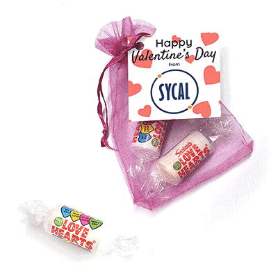 CONFECTIONERY ORGANZA BAGS