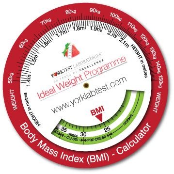 INFO WHEEL