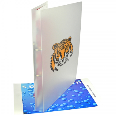 POLYPROPYLENE RING BINDER (UK STOCK: FROSTED CLEAR)
