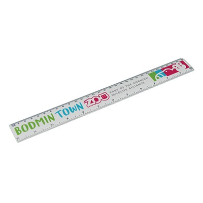 30CM RULER