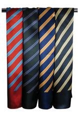 PREMIER STRIPE BUSINESS SCARF