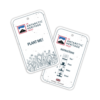 SEEDED PAPER SWING TAG (2PP)