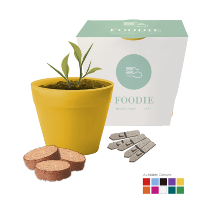 BAMBOO POT SEEDS GARDENS