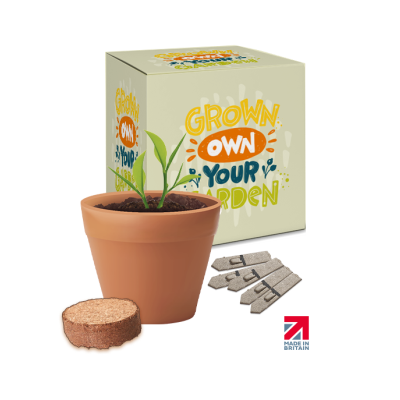 BOXED POT SEEDS GARDENS