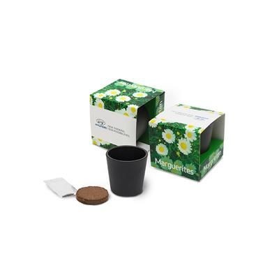 CERAMIC POTTERY GROW KIT