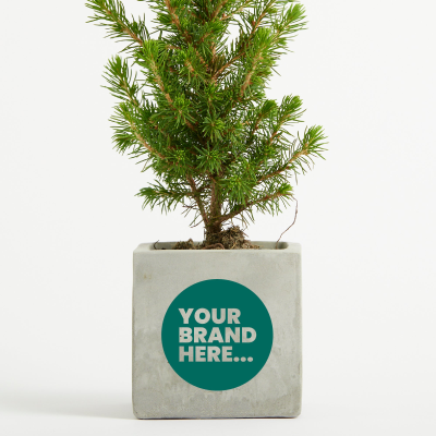 CHRISTMAS TREE in Marble Concrete Pot Printed