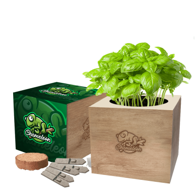 DESKTOP CUBE SEEDS GARDENS