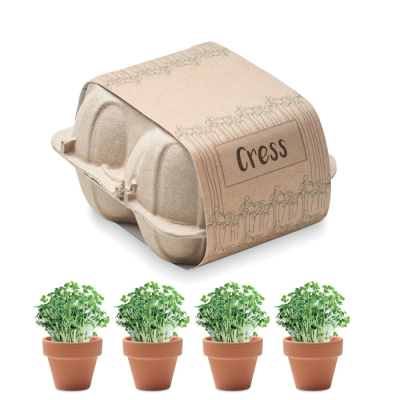 EGG CARTON GROWING KIT in Brown