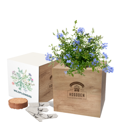 EXPRESS DESK TOP CUBE SEEDS GARDENS 