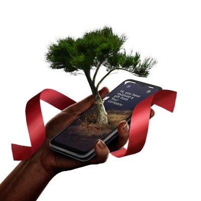 GIFT A TREE