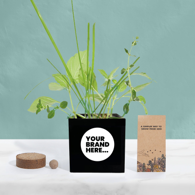GROW KIT in Black Aluminium Metal Pot Printed