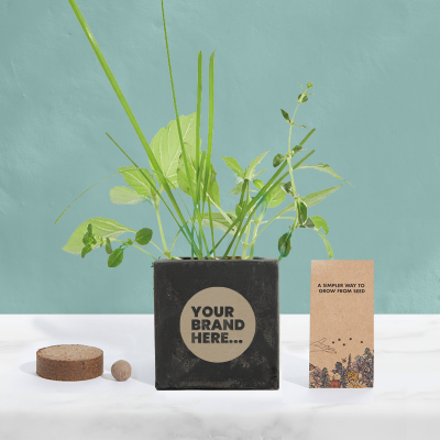 GROW KIT in Black Concrete Pot Engraved