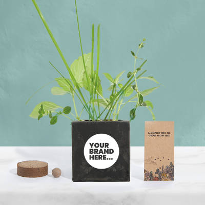 GROW KIT in Black Concrete Pot Printed