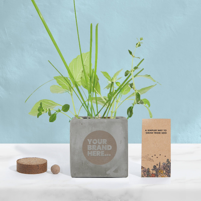 GROW KIT in Grey Concrete Pot Engraved