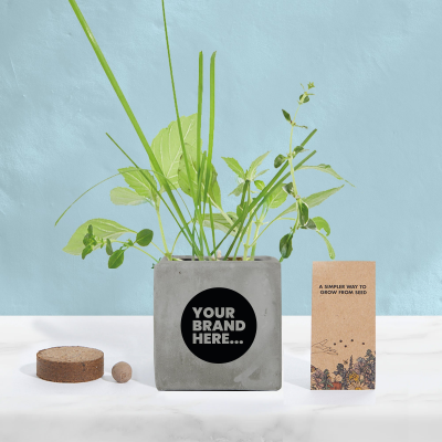 GROW KIT in Grey Concrete Pot Printed