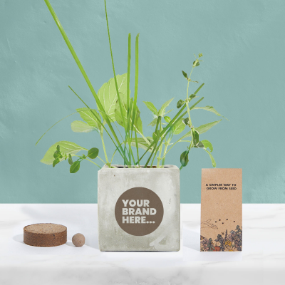 GROW KIT in Marble Concrete Pot Printed