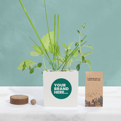 GROW KIT in White Aluminium Metal Pot Printed