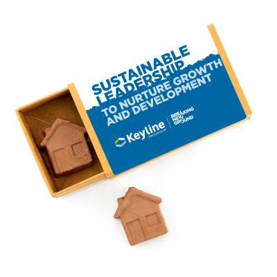 HOUSE-SHAPED SEEDS BOMBS