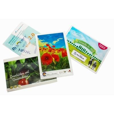 LARGE SEEDS PACKETS - GLOSS