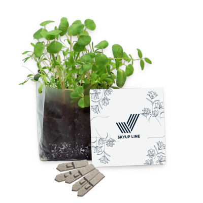 LETTERBOX SEEDS GARDENS