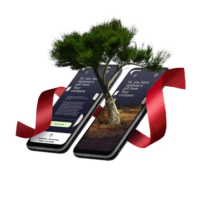 REGREEN AFRICA - GIFT TREE