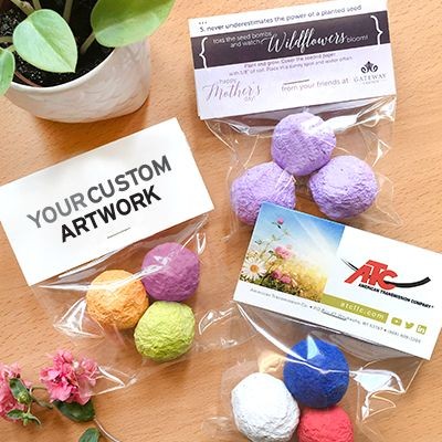 SEEDS BOMB CELLOPACK 3