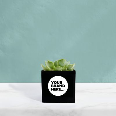 SUCCULENT in Black Aluminium Metal Pot Printed