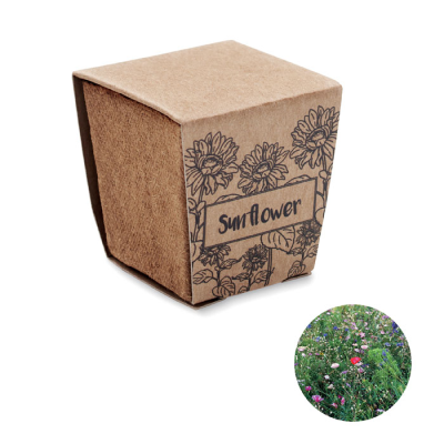 SUNFLOWER GROWING KIT in Brown
