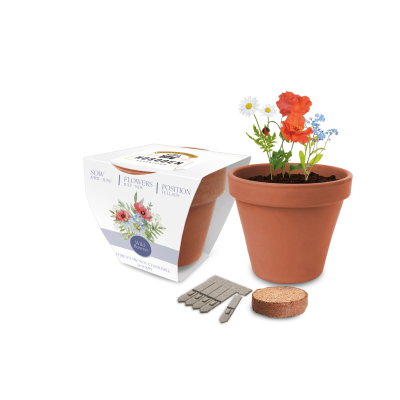 SUPER EXPRESS ESSENTIALS CLAY POT SEEDS GARDENS