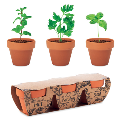 TERRACOTTA 3 HERB POT SET in Brown