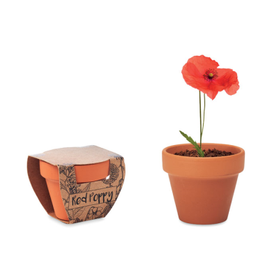 TERRACOTTA POT POPPY in Brown