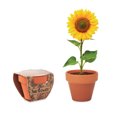 TERRACOTTA POT SUNFLOWER in Brown