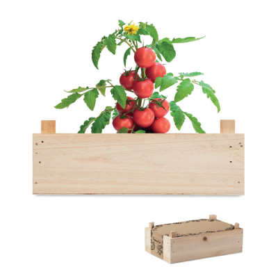 TOMATO KIT in Wood Crate in Brown