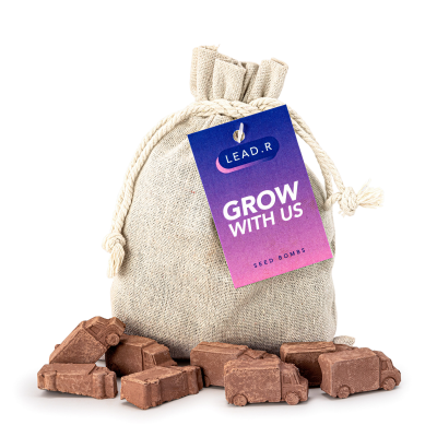 VAN-SHAPED SEEDS BOMB BAG