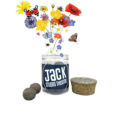 WILDFLOWER SEEDS BALLS JAR