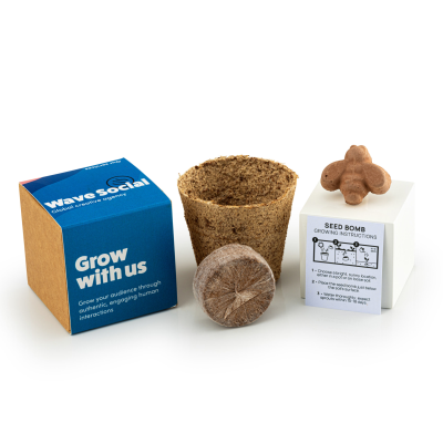 WILDFLOWER SEEDS BOMB KIT
