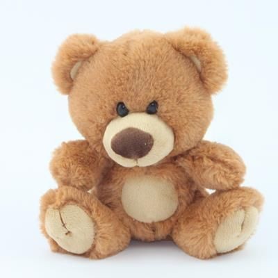 15CM CHARLTON BEAR with Tee Shirt