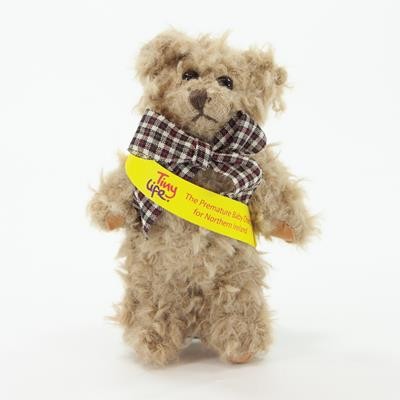 15CM WINDSOR BEAR with Sash