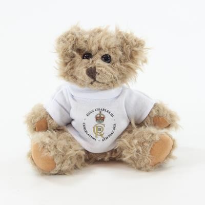 15CM WINDSOR BEAR with Tee Shirt