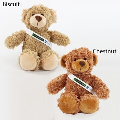20CM BARNEY BEAR with Sash