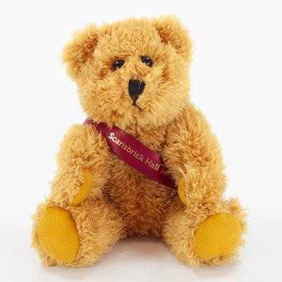 20CM SPARKIE BEAR with Sash